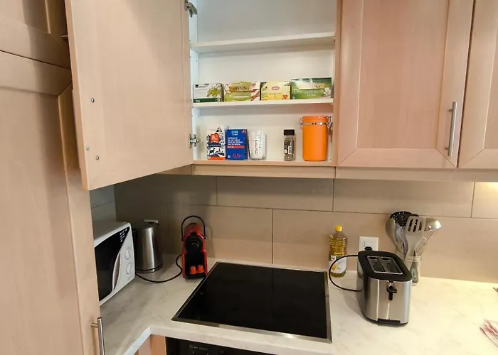 Apartament Superbe A Les Bains *